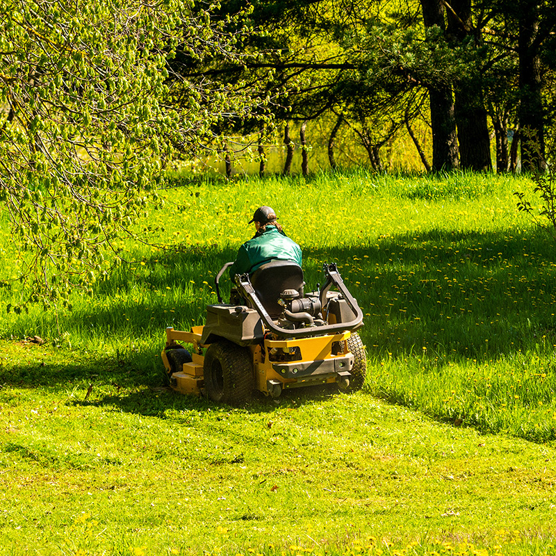landscaping Image